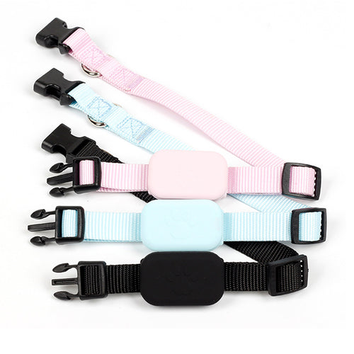 Pawtave Everyday Anti-Lost Pet Collar
